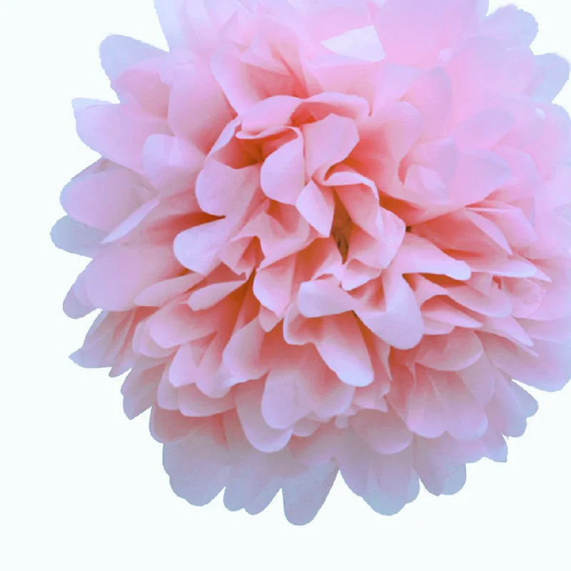 60 watt Edison style light bulbsEZ-Fluff 12" Light Pink Tissue Paper Pom Poms Flowers Balls, Decorations (4 PACK)