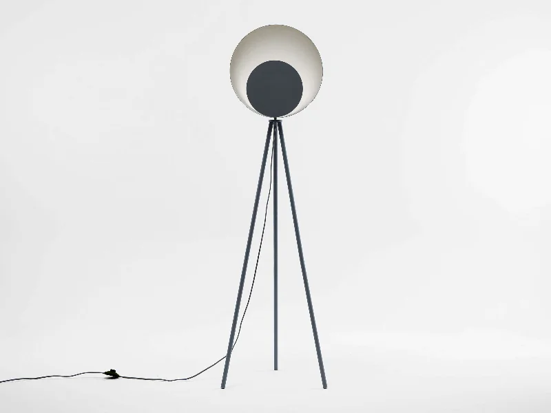 Victorian Style Floor Lamp for Traditional and Elegant InteriorsCharcoal grey diffuser floor lamp