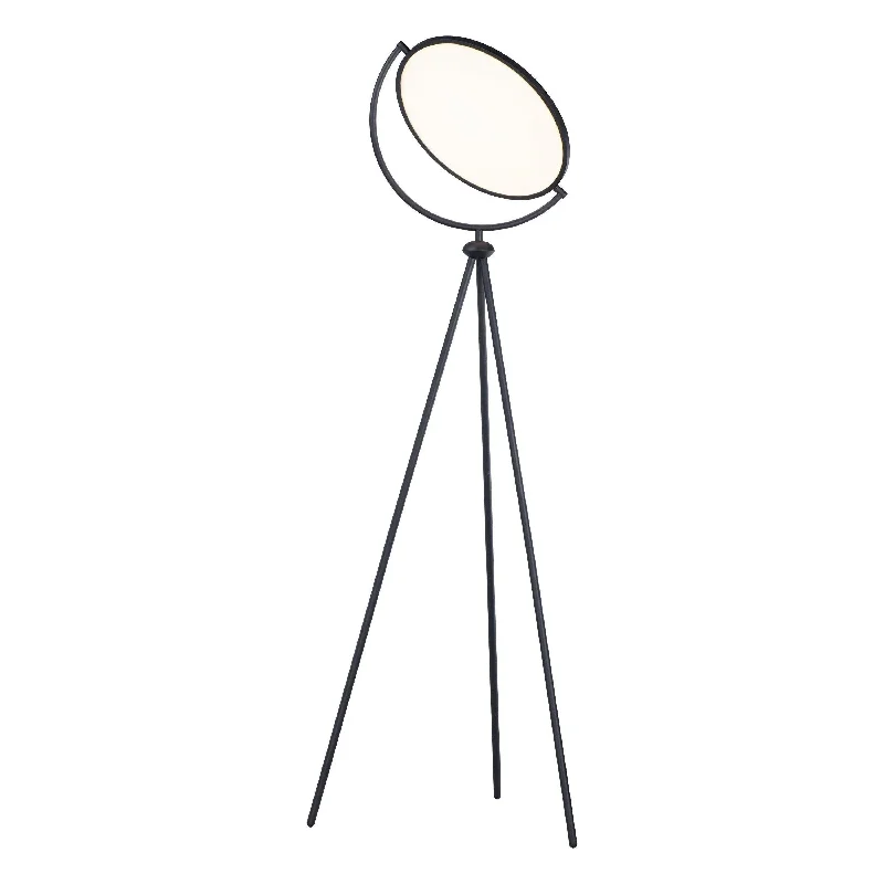 Dimmable Floor Lamp for Adjustable Lighting AmbiancePaddle Floor Lamp