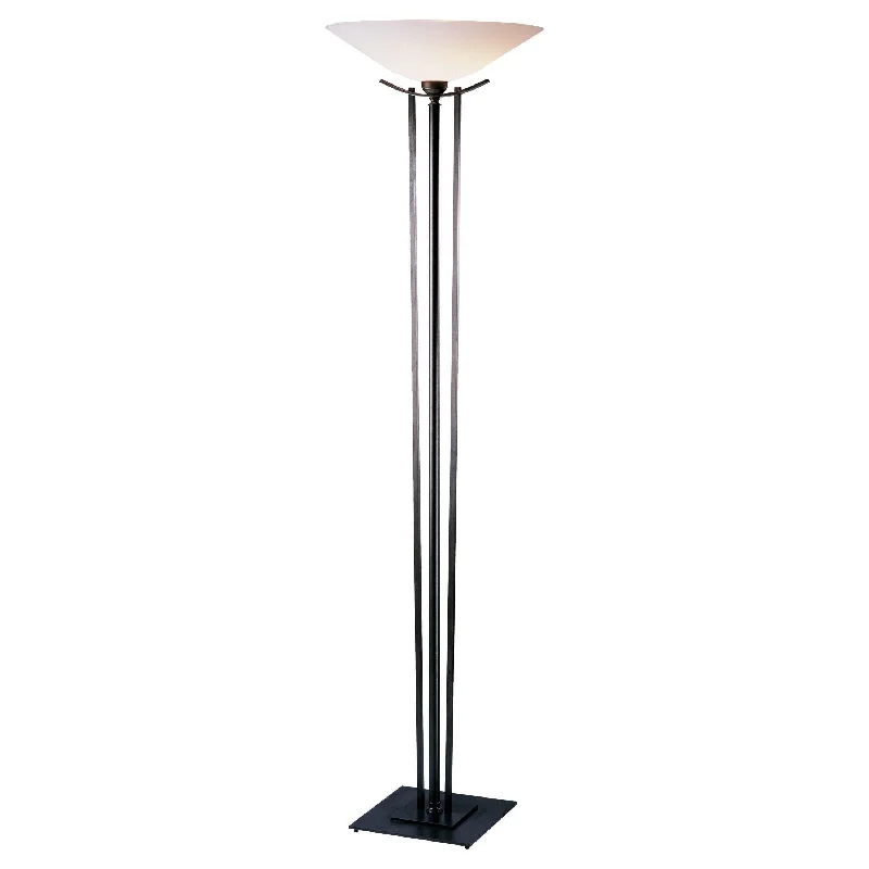 Metal Floor Lamp with a Matte Black Finish for a Sleek LookTaper Floor-Lamp