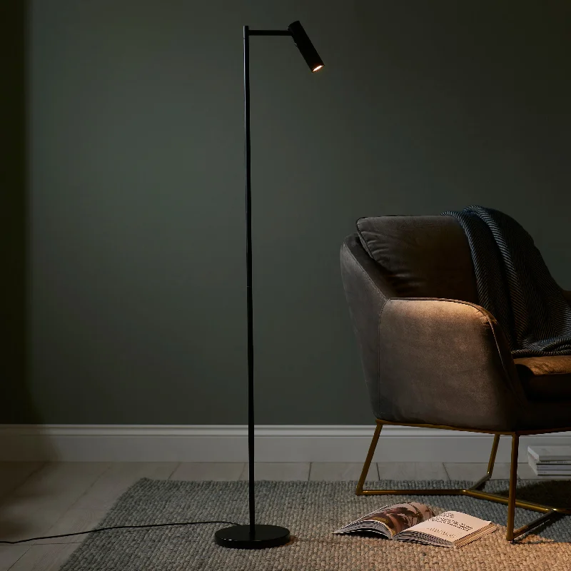  Way Switch Floor Lamp for Multiple Light Intensity LevelsBibliophile 1Lt Indoor Floor Lamp In Matt Black Finish