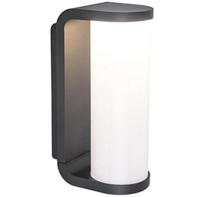 Smart Floor Lamp with Voice Control and Bluetooth ConnectivityLutec Adalyn Outdoor LED Wall Light - Dark Grey